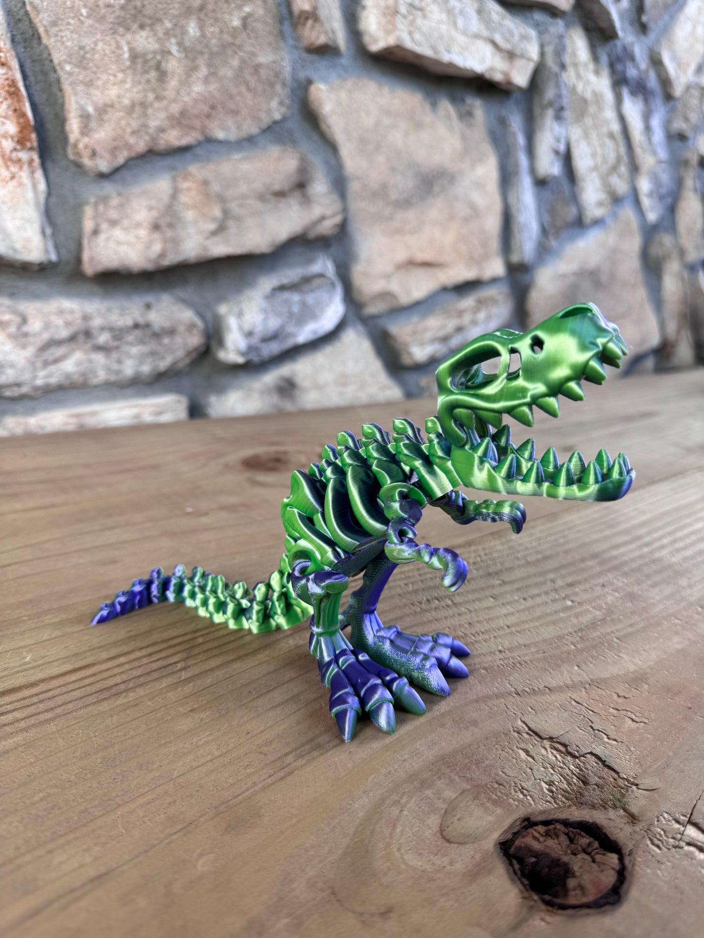 Skeleton Dinosaurs