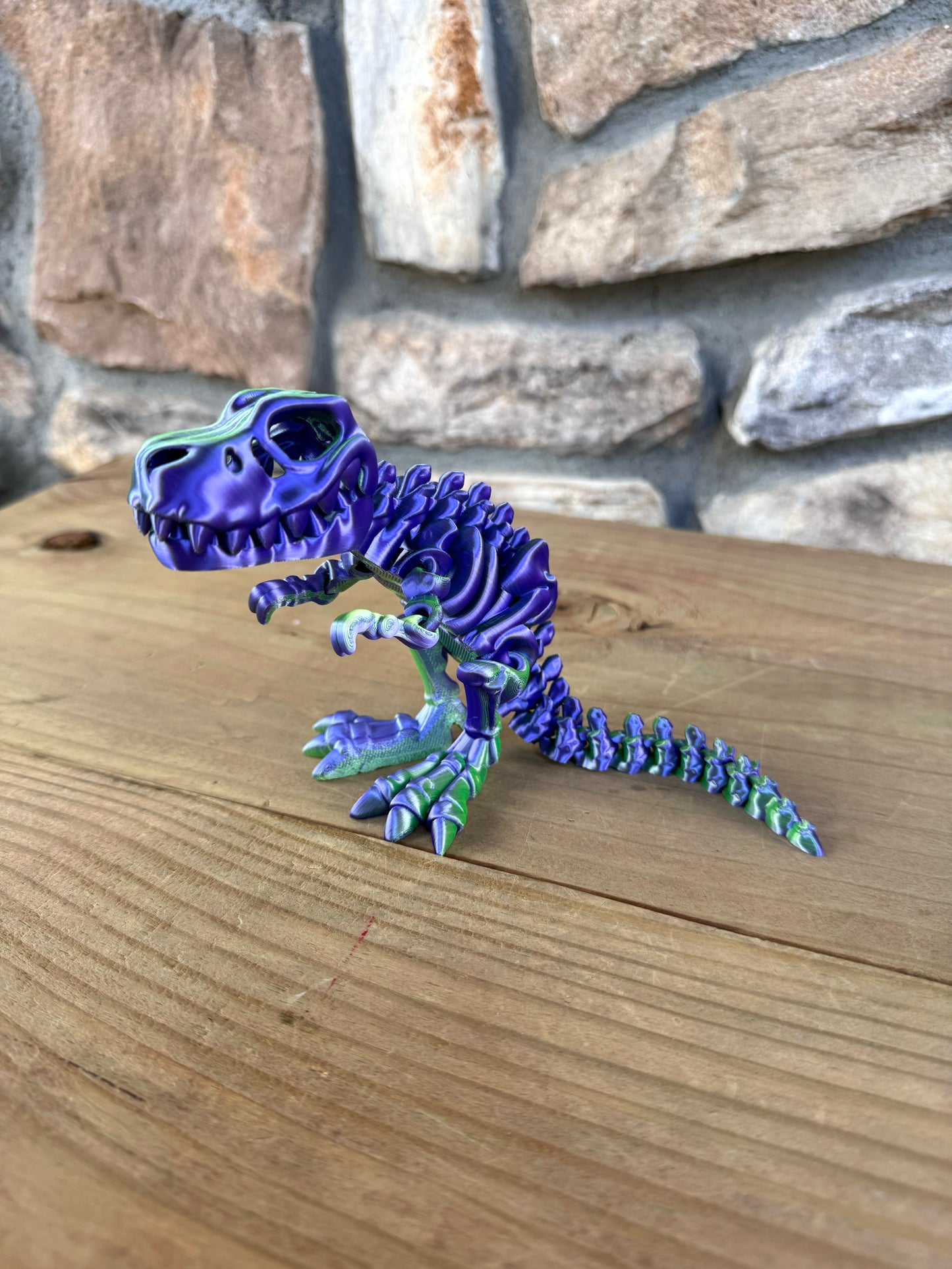 Skeleton Dinosaurs