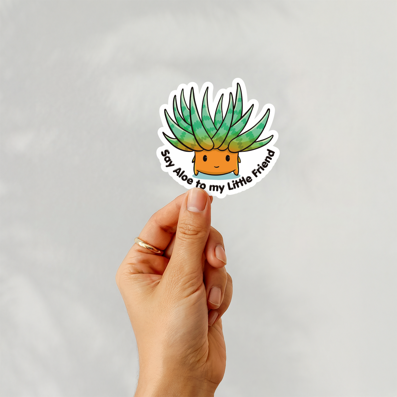 Say Aloe to my Little Friend